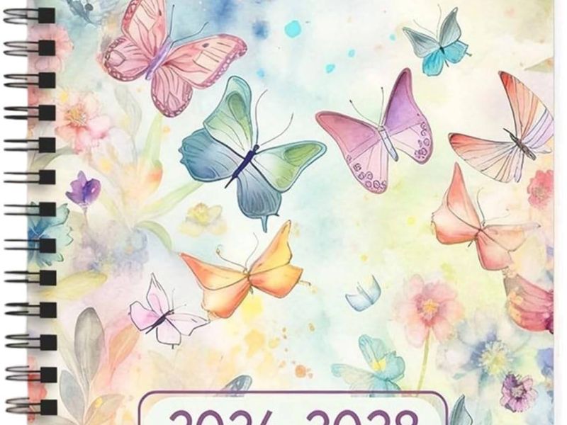 Jahresprogramm 2026 - 2027